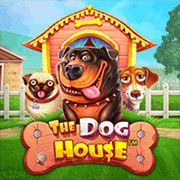 Nhà Của Chó thumbnail